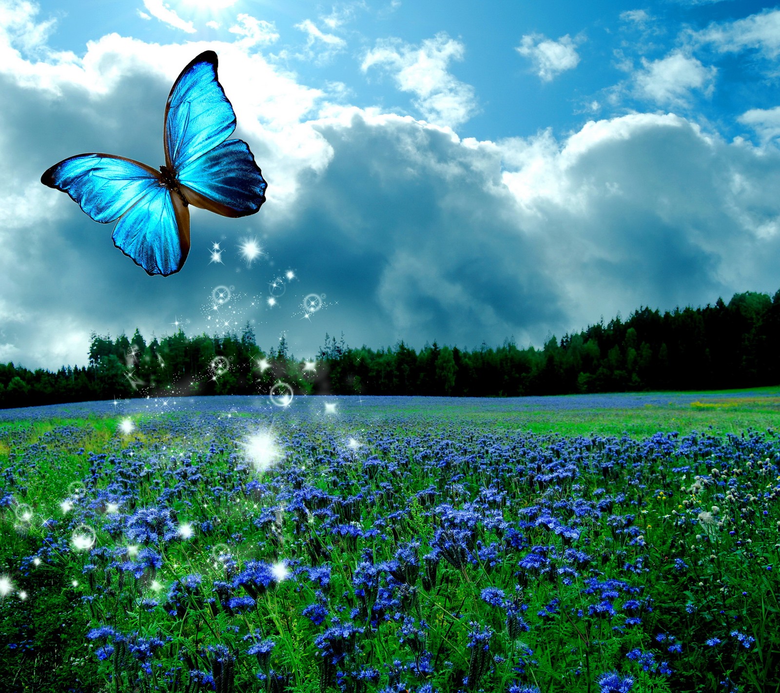 Una mariposa volando sobre un campo de flores azules con un bosque de fondo (mariposa, flores, pradera, brillo)