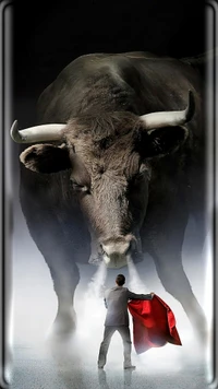 bull, bulls, red, farm, bullfighter wallpaper