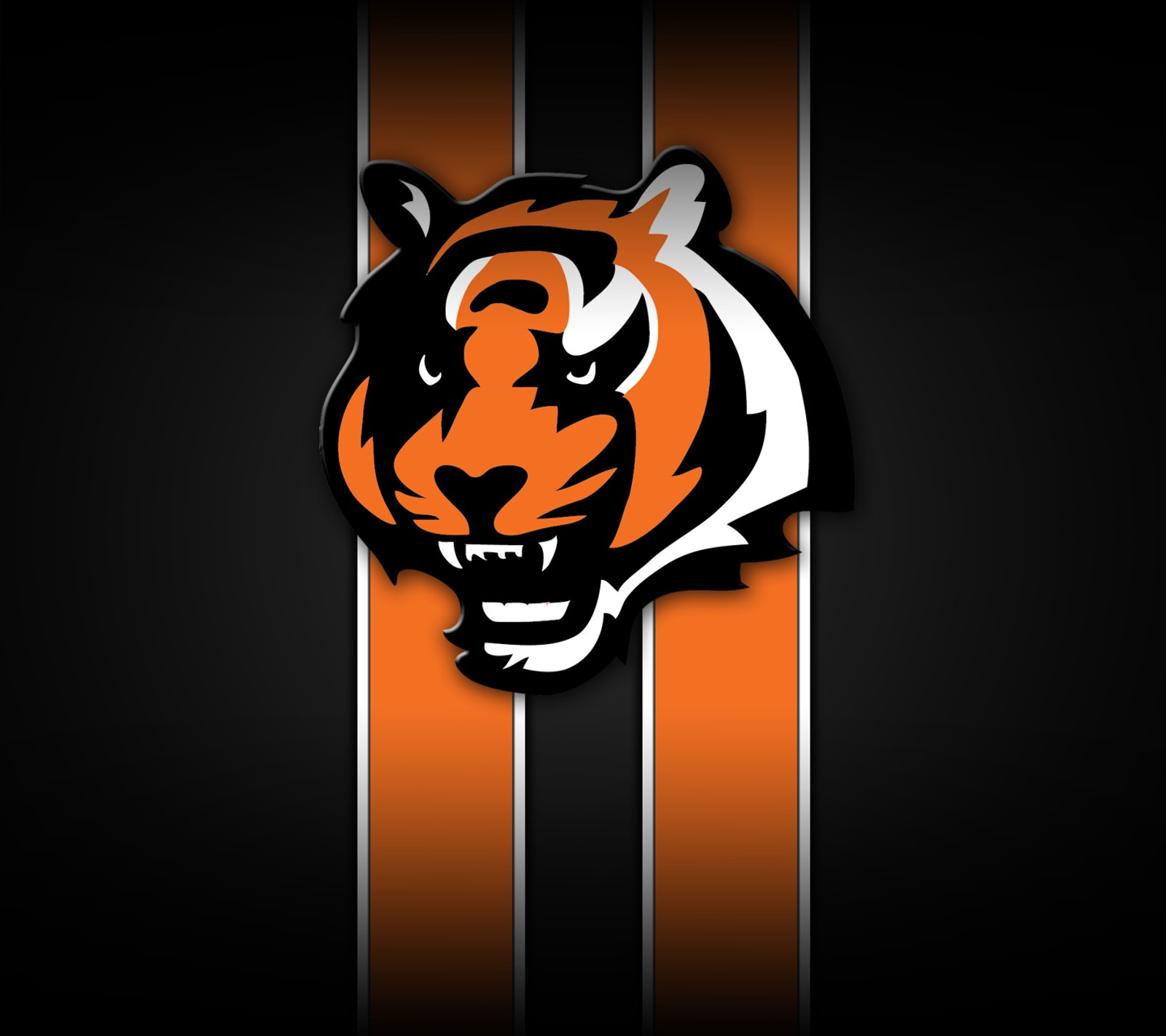 bengals, cinncinati, football, logo, nfl wallpaper