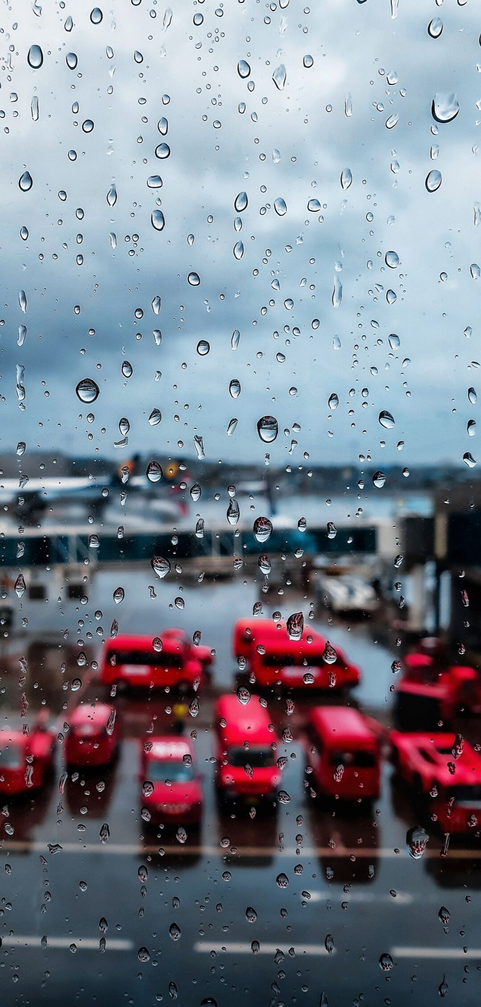 Jirafas están estacionadas en un lote bajo la lluvia (iphone 11, iphone 11 pro, iphone11, amor, samsung)