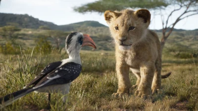 Simba el cachorro de león con Zazu en la sabana africana