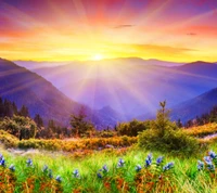 Vibrant Sunset Over Mountain Fields Adorned with Wildflowers