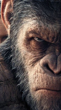 Intense Gaze of a Battle-Ready Ape on a War-Torn Planet