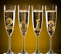 Celebrating the New Year 2013 with Sparkling Champagne