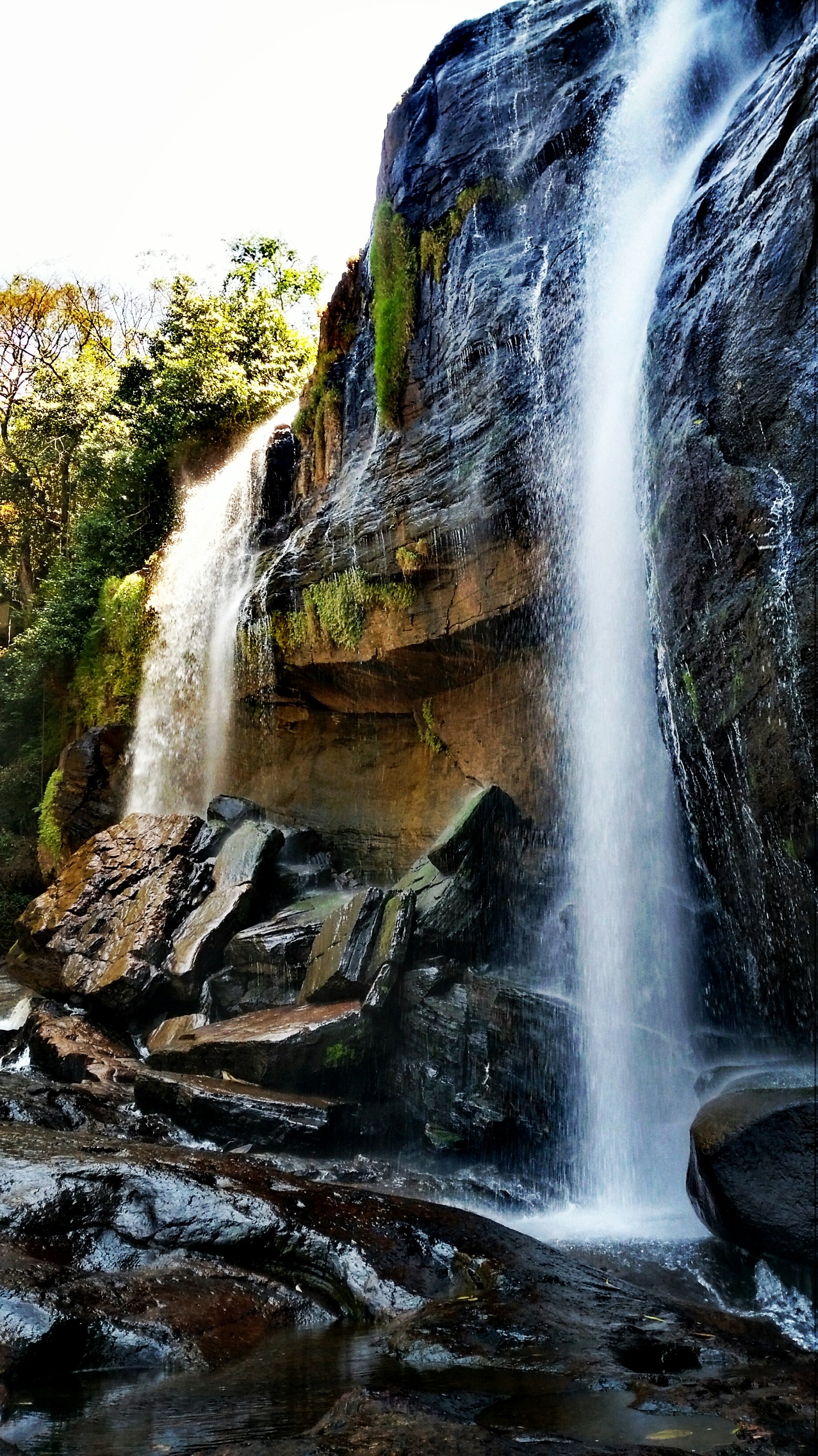 Lade freiheit, natur Hintergrund herunter