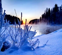 Sereno amanecer invernal sobre un paisaje helado