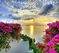 Coucher de soleil serein sur la mer encadré par des bougainvilliers vibrants