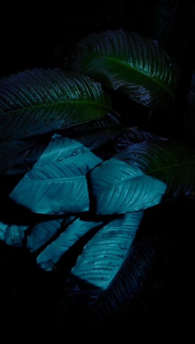 Abstract Dark Green Leaves with Teal Highlights