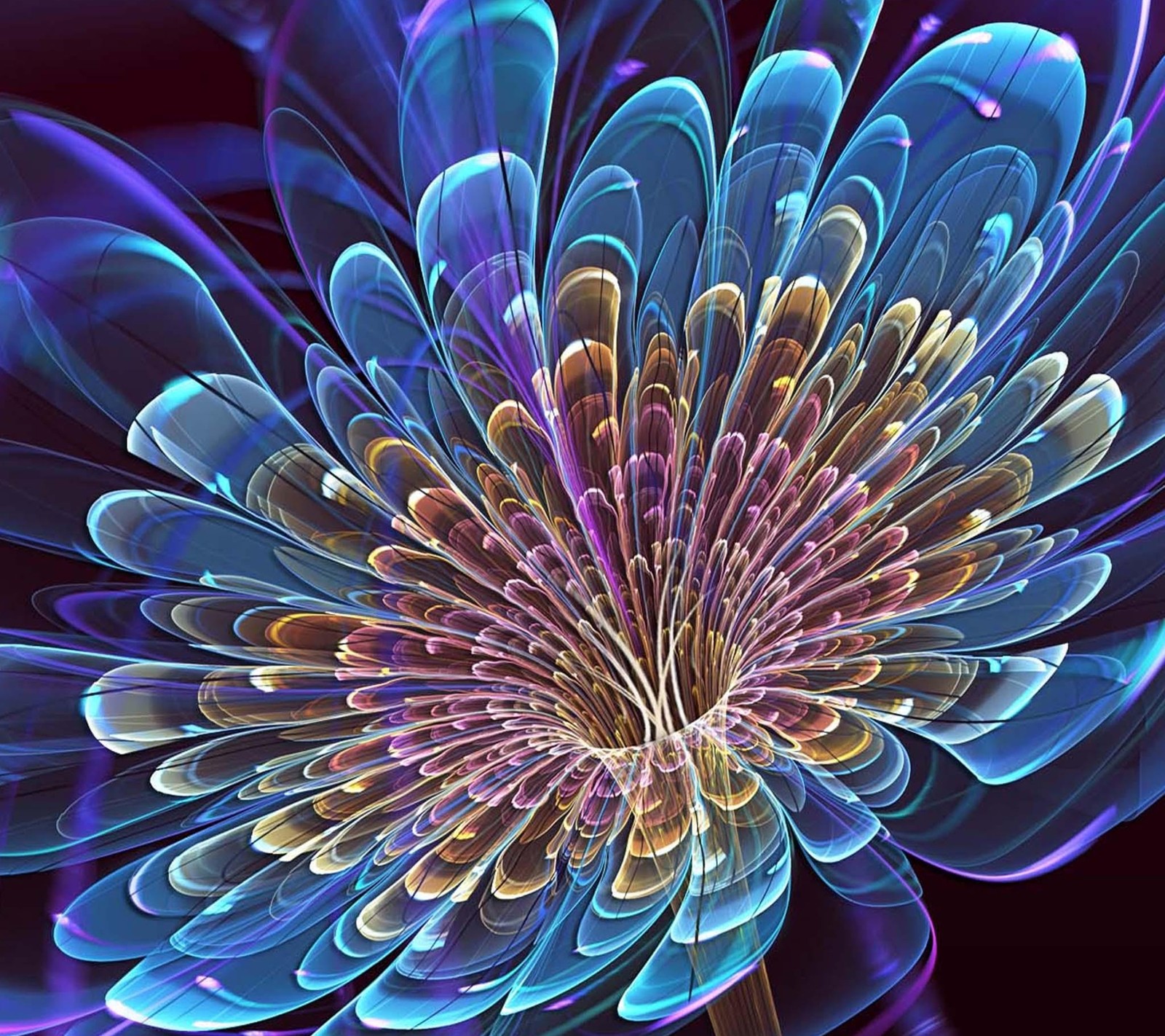 A close up of a flower with a blue center and purple petals (2160x1920, wallpaper)