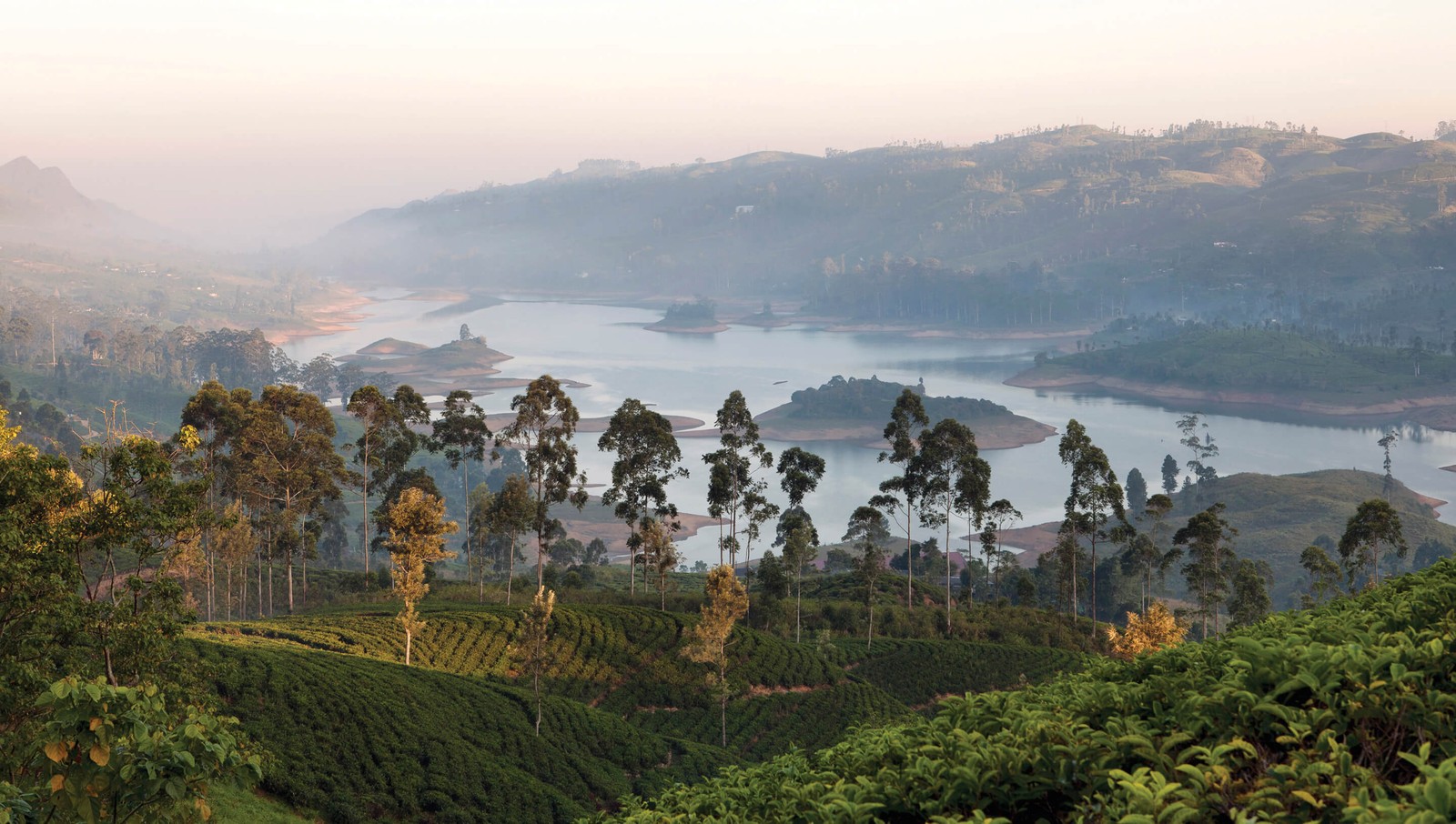 A view of a lake and a mountain with trees in the foreground (tea, hill station, highland, mist, tree)