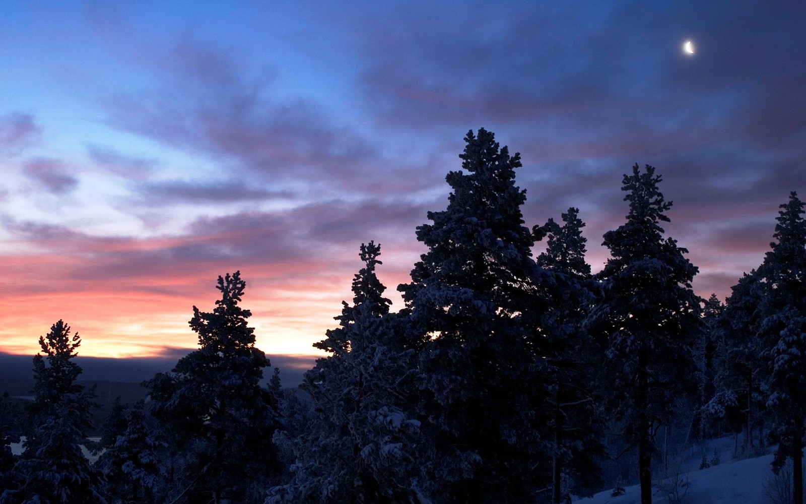 Une vue d'un coucher de soleil avec quelques arbres au premier plan. (nature, arbre, nuage, soir, hiver)