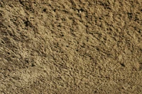 soil, sand, gravel, rock, grasses wallpaper