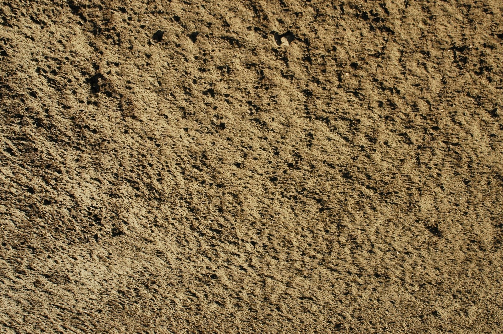 Un primer plano de una pared de tierra con un pequeño pájaro en ella (suelo, arena, grava, roca, hierba)