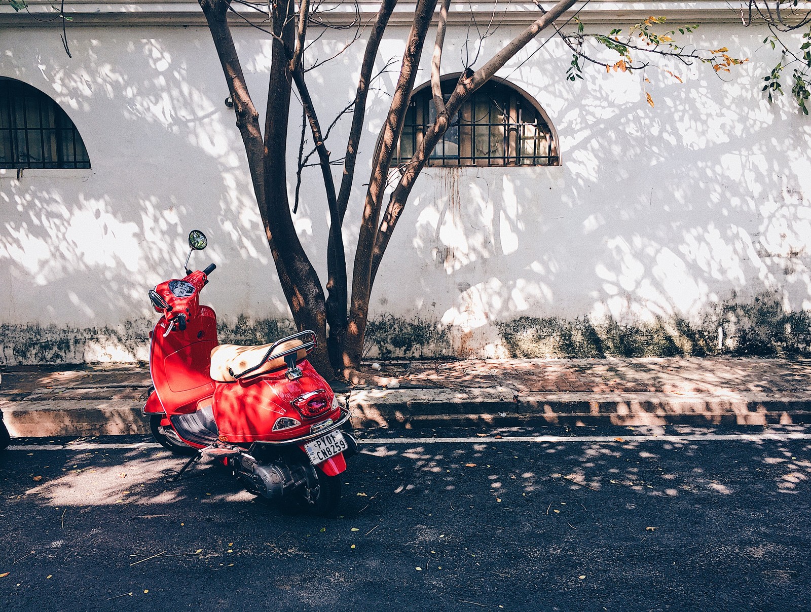 Lade roller, motorad, rot, baum, himmel Hintergrund herunter