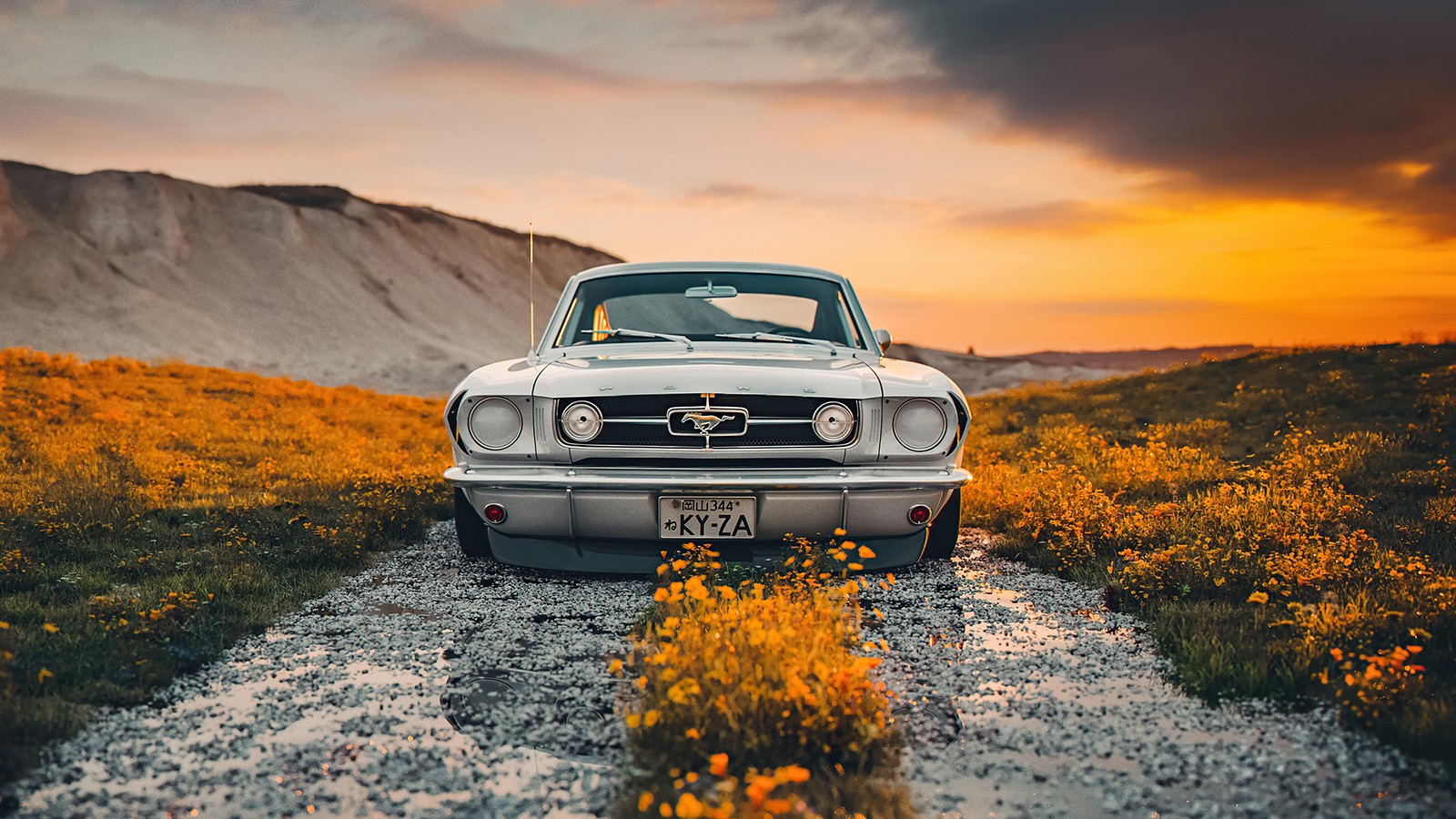 car, flower, road, scenery wallpaper