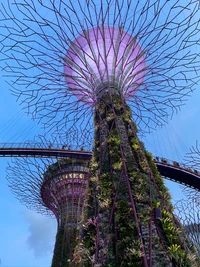 Vibrant Supertree Grove à Singapour : Une fusion de la nature et de l'art