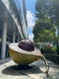 Symbolic Sculpture of a Seed Pod: A Fusion of Nature and Art