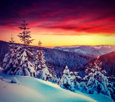 Paisaje cubierto de nieve al atardecer, con árboles de hoja perenne contra un colorido cielo invernal.