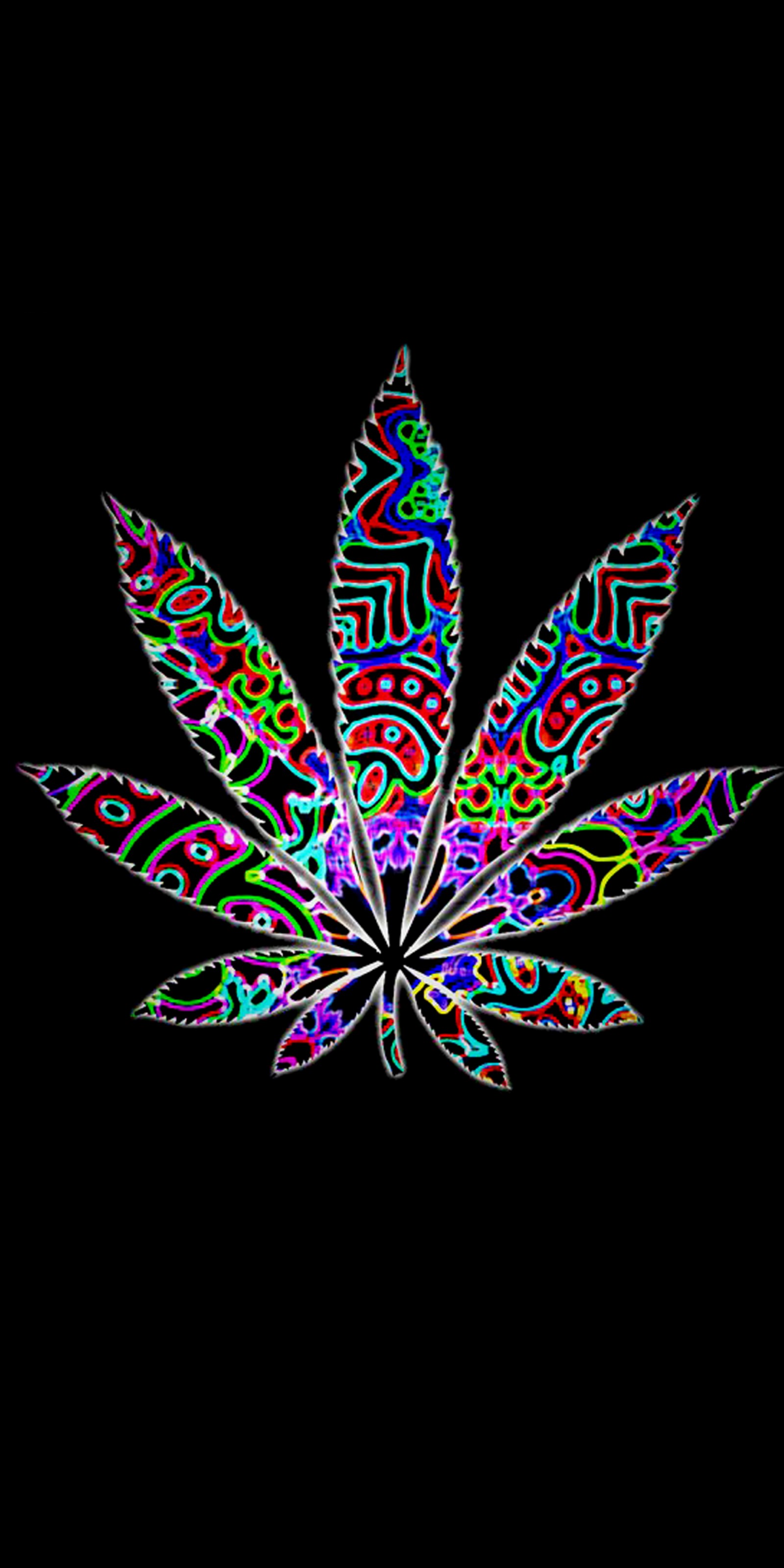 A close up of a marijuana leaf with a black background (black, colorful, leaf, smoke)