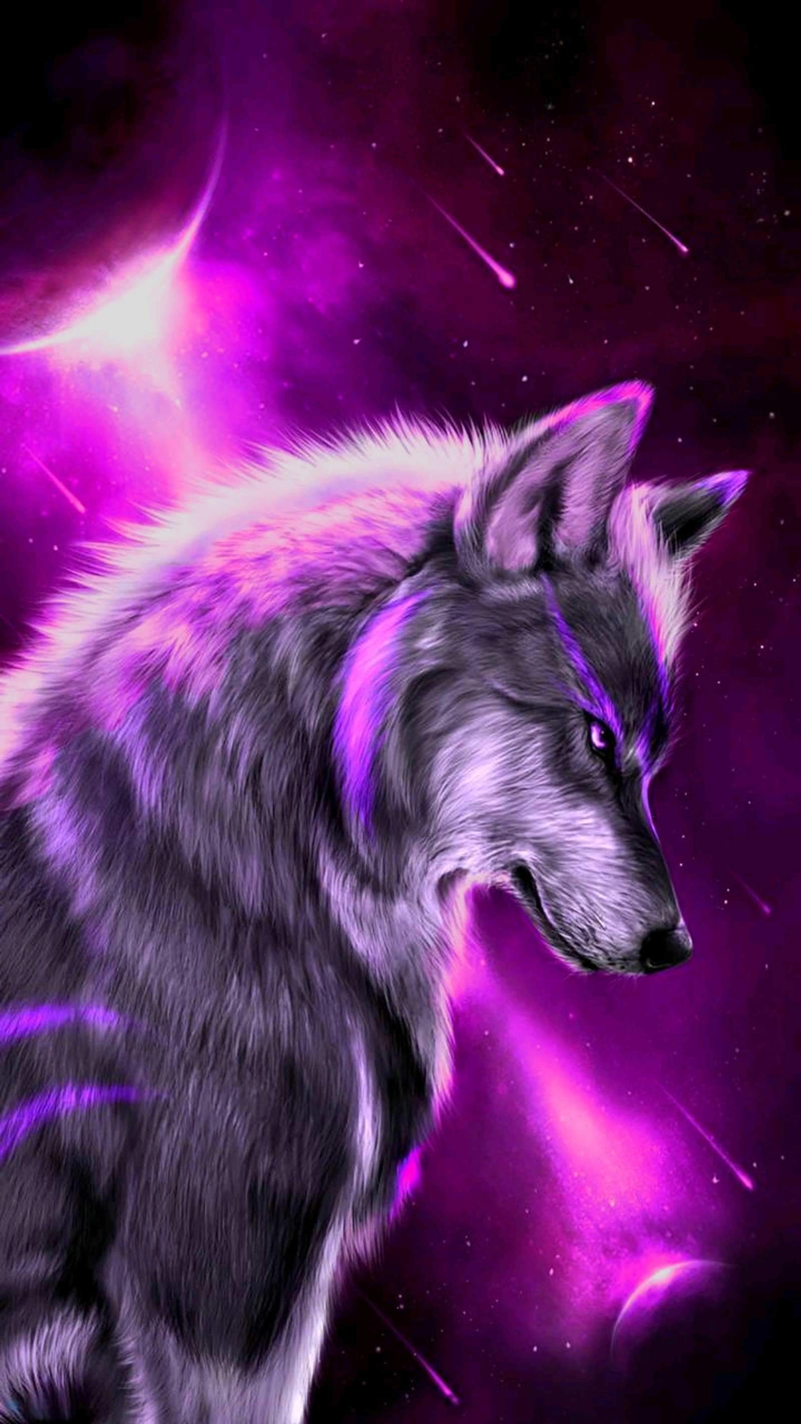 Fonds d'écran de loup violet (galaxie, couleur violette, espace, loup)