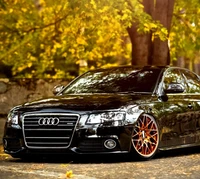 Elegante Audi A4 negro con ruedas de bronce personalizadas entre el follaje de otoño.