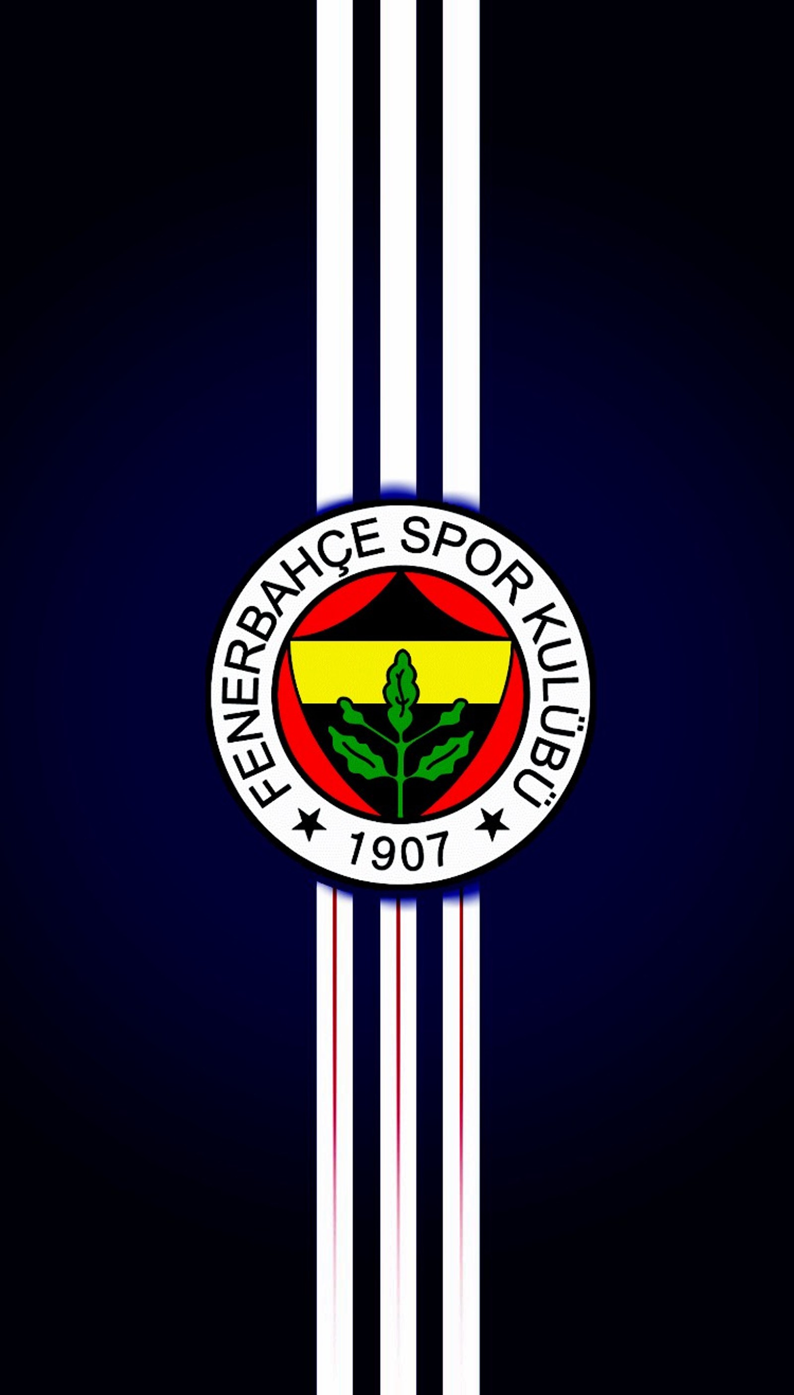 club, fb, fenerbahce, sport wallpaper