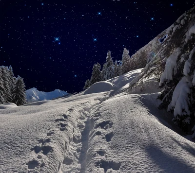 Serene Snowy Mountain Path Under a Starry Winter Night