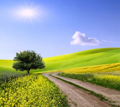 Campo verde exuberante sob um céu primaveril brilhante