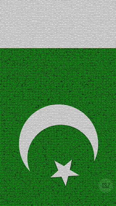 Textured Pakistan Flag with Crescent and Star