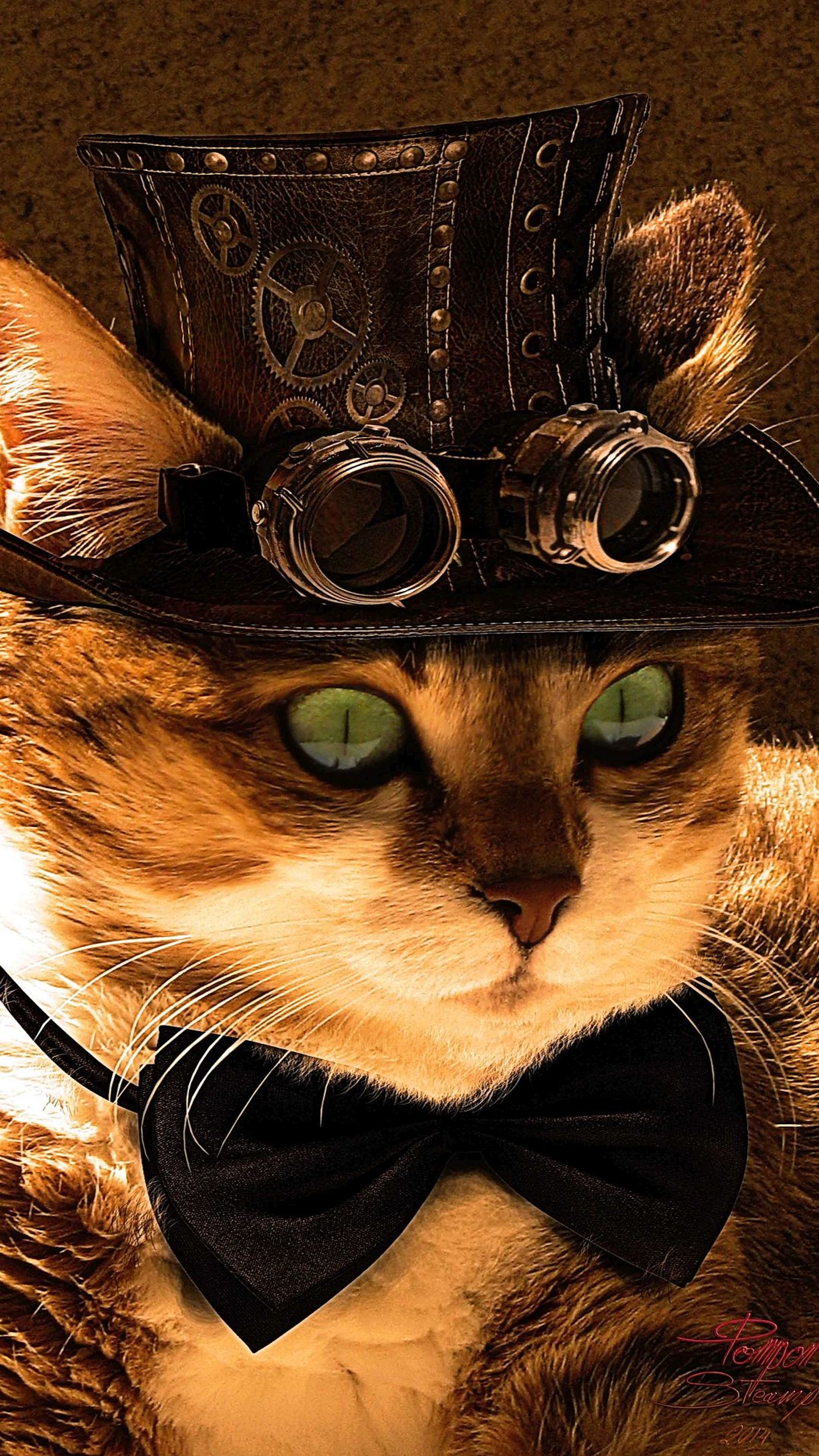 Lade gato, steampunk Hintergrund herunter