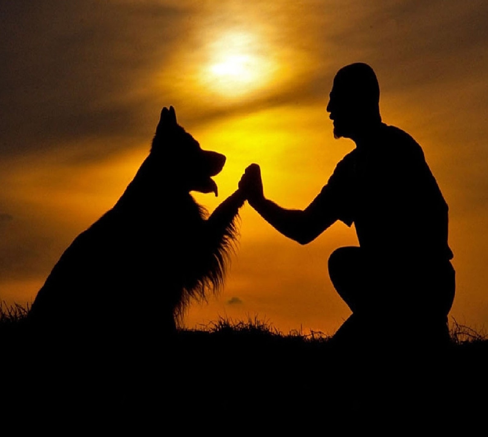 Silueta de un hombre y su perro al atardecer. (amigos)