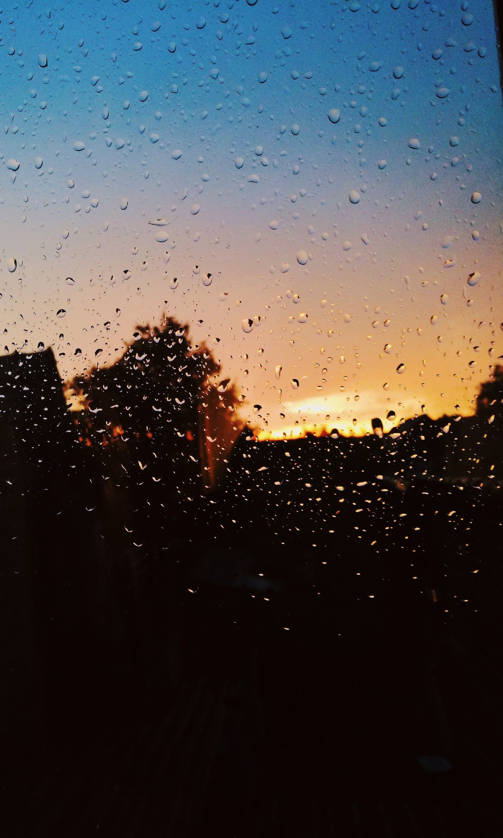 A view of a sunset through a rain covered window with raindrops (blue sky, rain, sun, view, window)