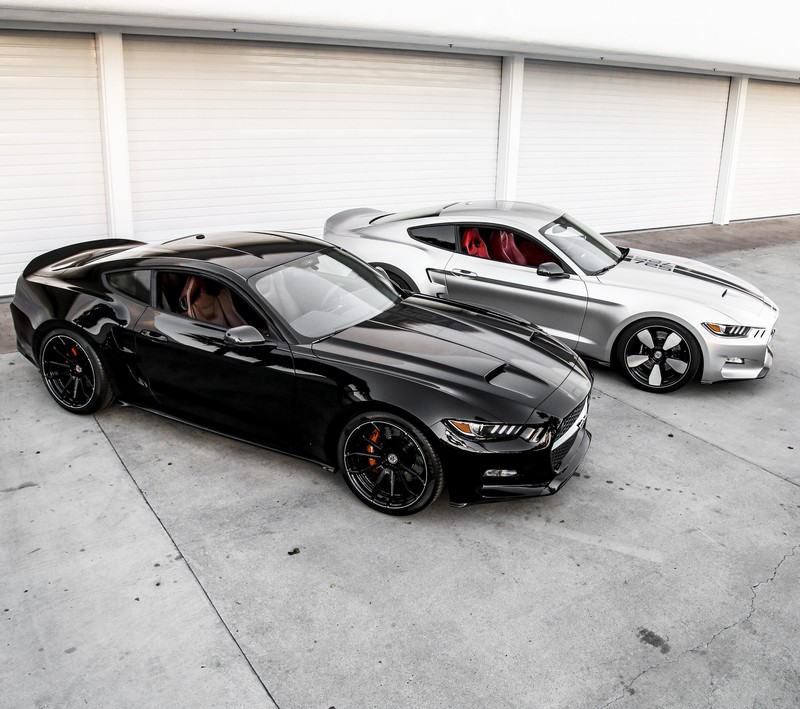 Two cars parked in a garage with a white garage door (auto, black, ford, mustang, silver)