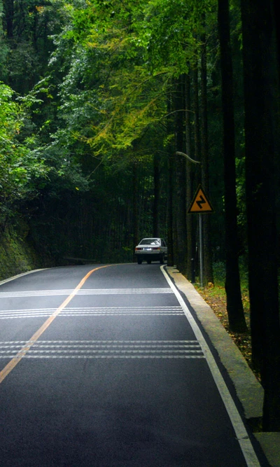 Serpentinenstraße durch üppigen Wald