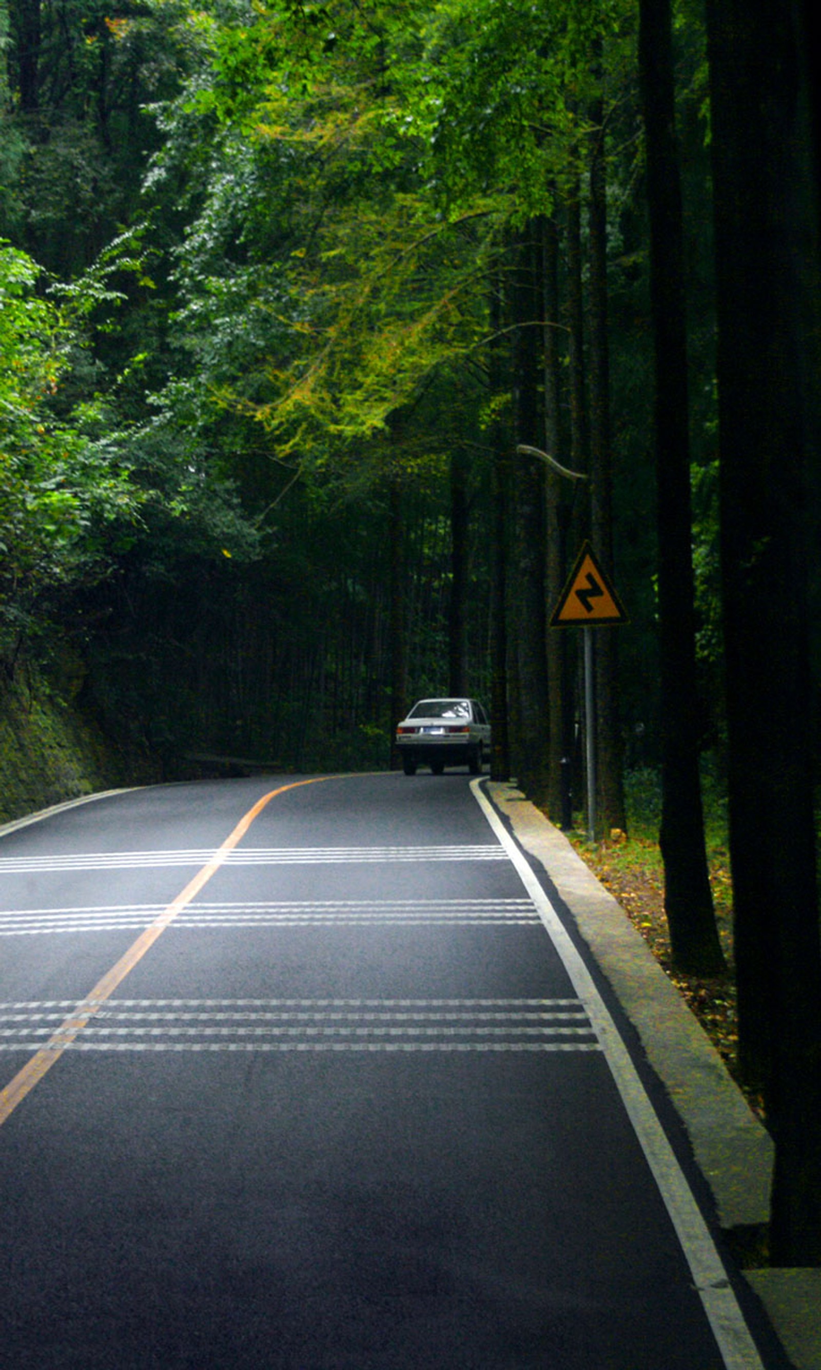 Hay un coche conduciendo por el camino en el bosque (largo, camino)