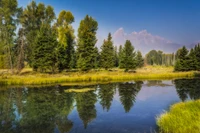 Reflexión de la naturaleza tranquila en un bosque templado