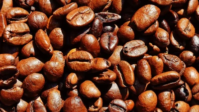 Artisan Roasted Coffee Beans: A Rich Blend of Flavors