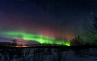 Nuit d'hiver enchanteresse : l'Aurore boréale illumine un ciel étoilé