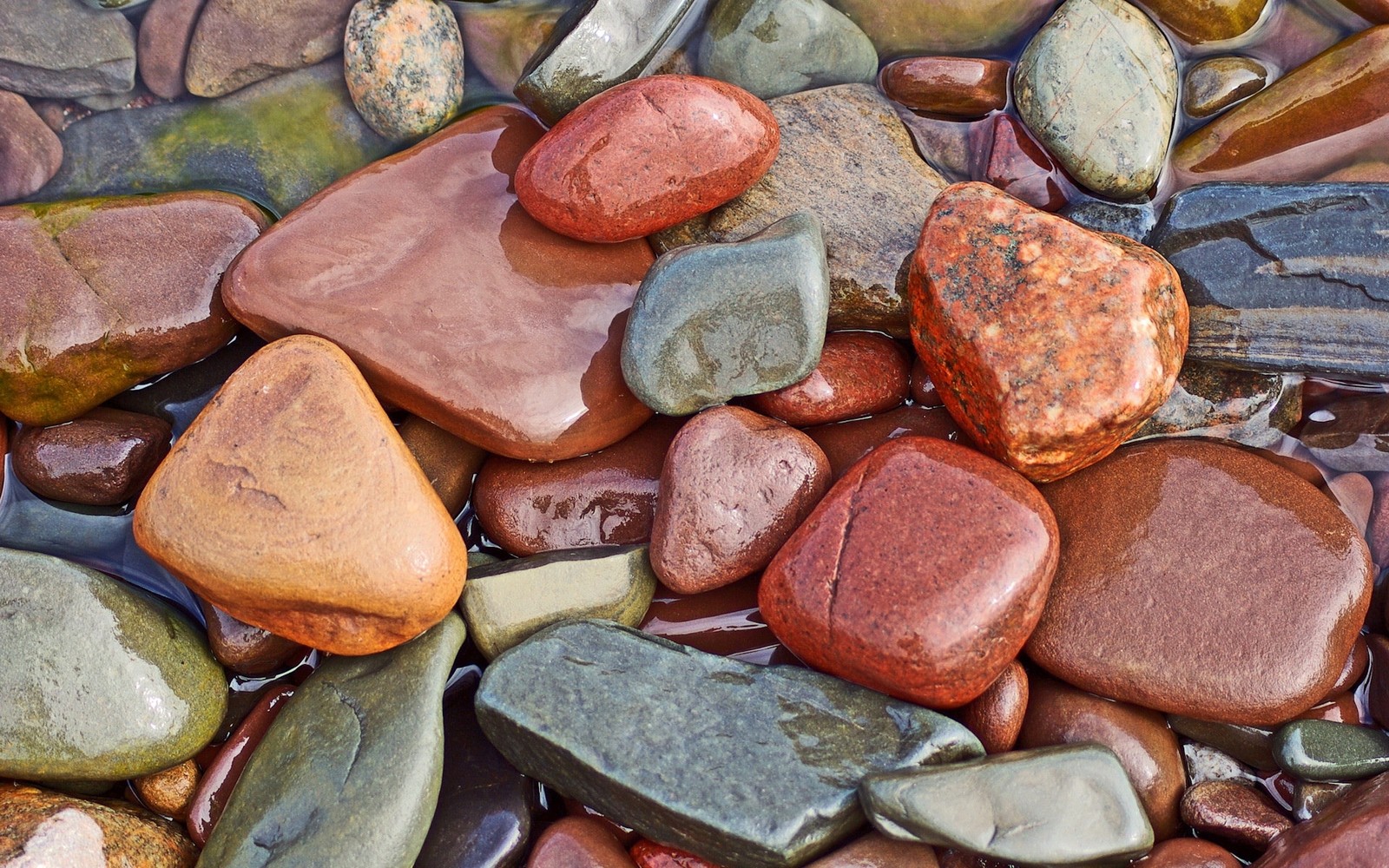 A close up of a bunch of rocks in a body of water (nature, natural material, close up, rock, brick)