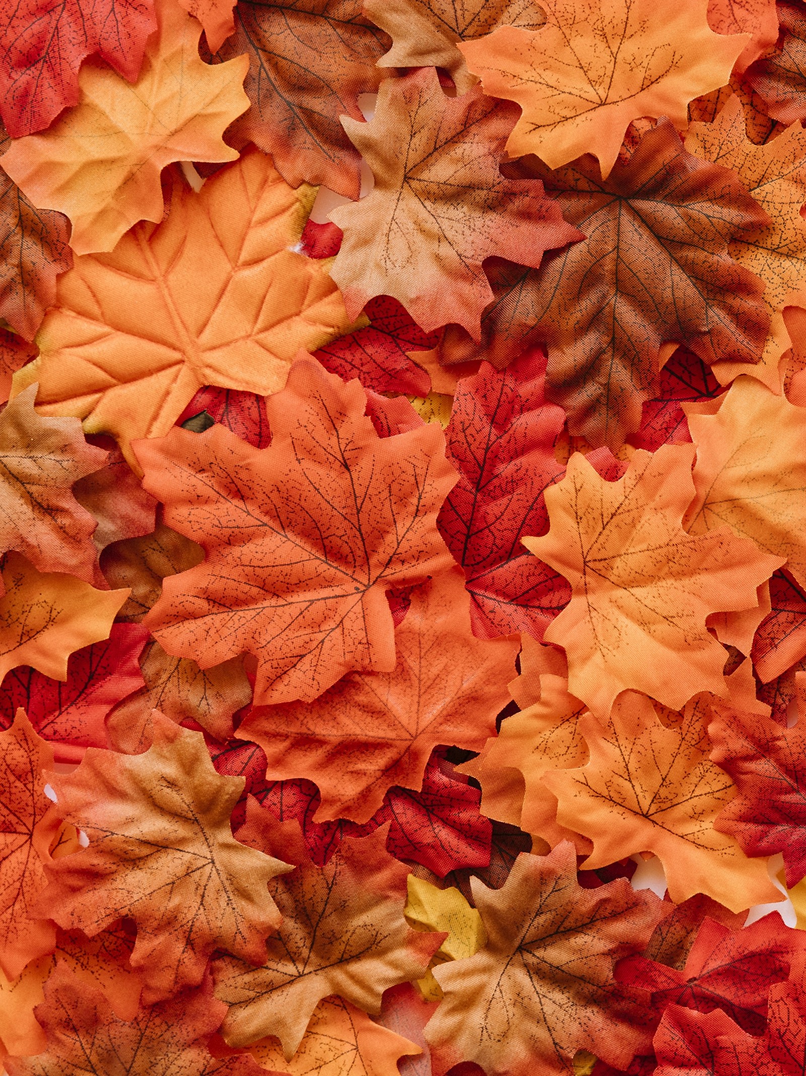 leaf, maple, tree, maple leaf, autumn wallpaper