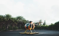 Helicopter parked at a resort, surrounded by palm trees under a clear sky.