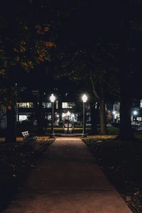 Caminho iluminado cercado por árvores à noite