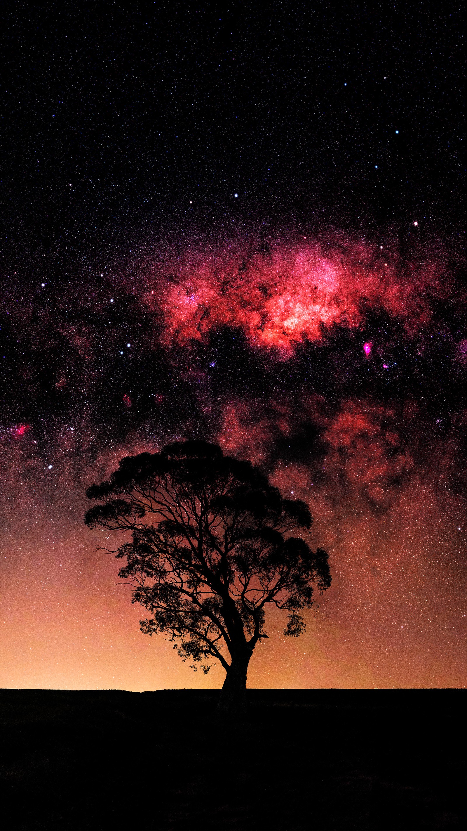 Ciel étoilé avec un arbre solitaire au premier plan (voie lactée, galaxie, nébuleuse, nuage, atmosphère)