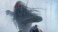 predator, prey 2022, hulu, movie, poster wallpaper