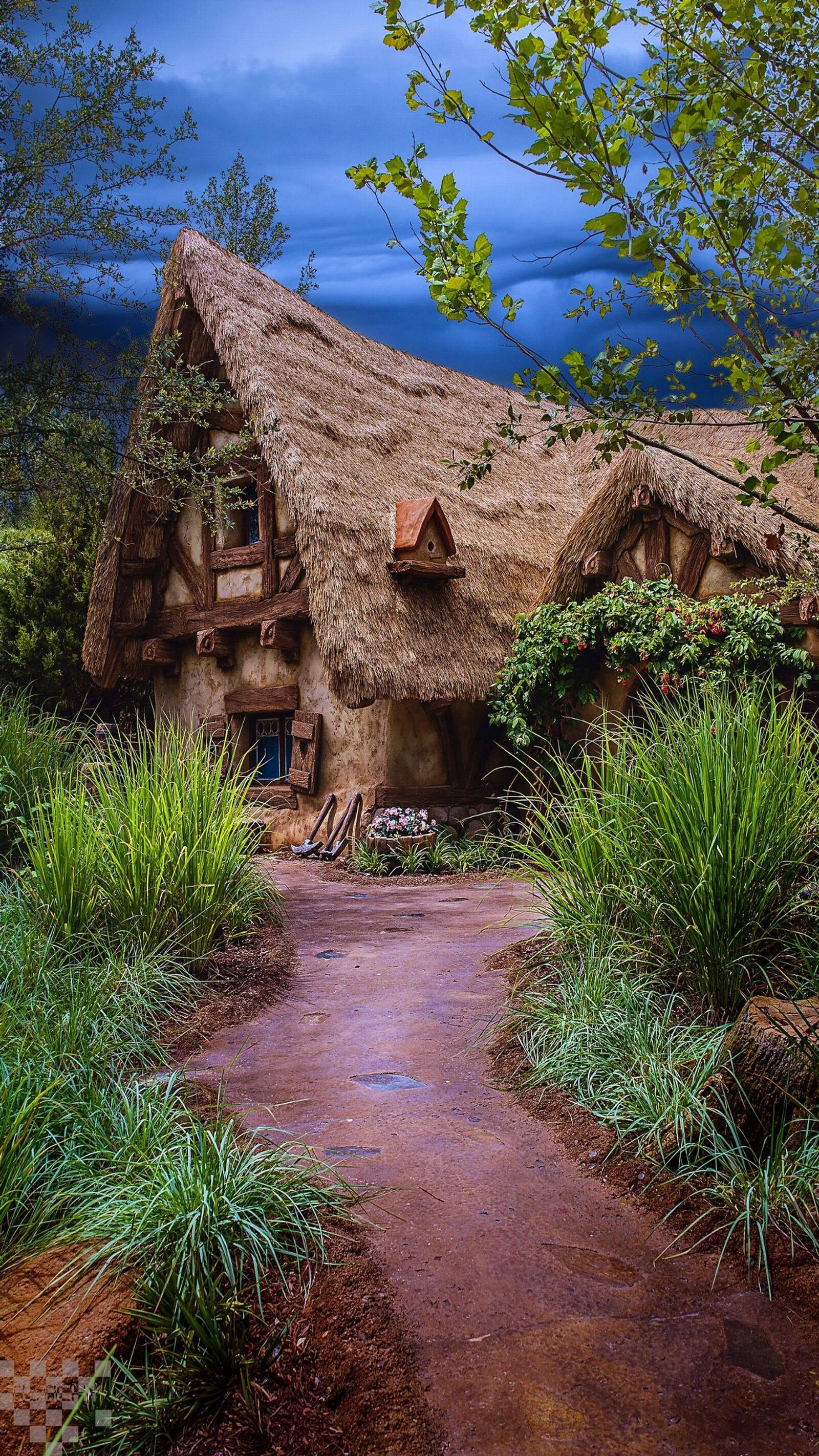 There is a small thatched house with a pathway leading to it (cottage, nature)