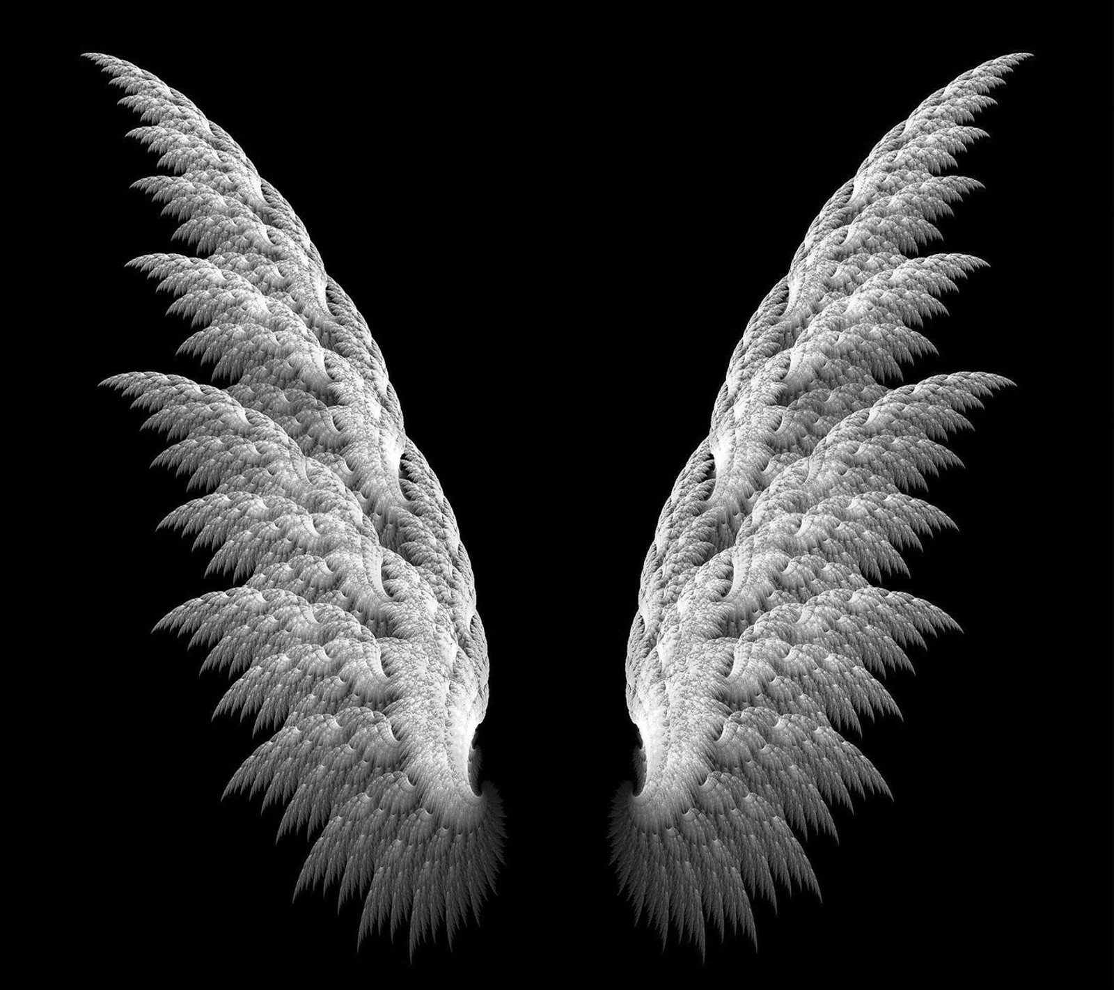 Download angel wings, wallpaper for free