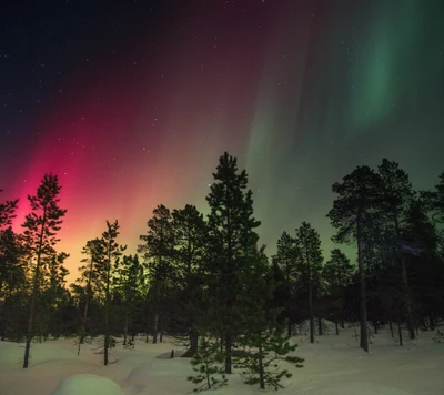 Deslumbrantes luzes do norte iluminando uma paisagem de inverno