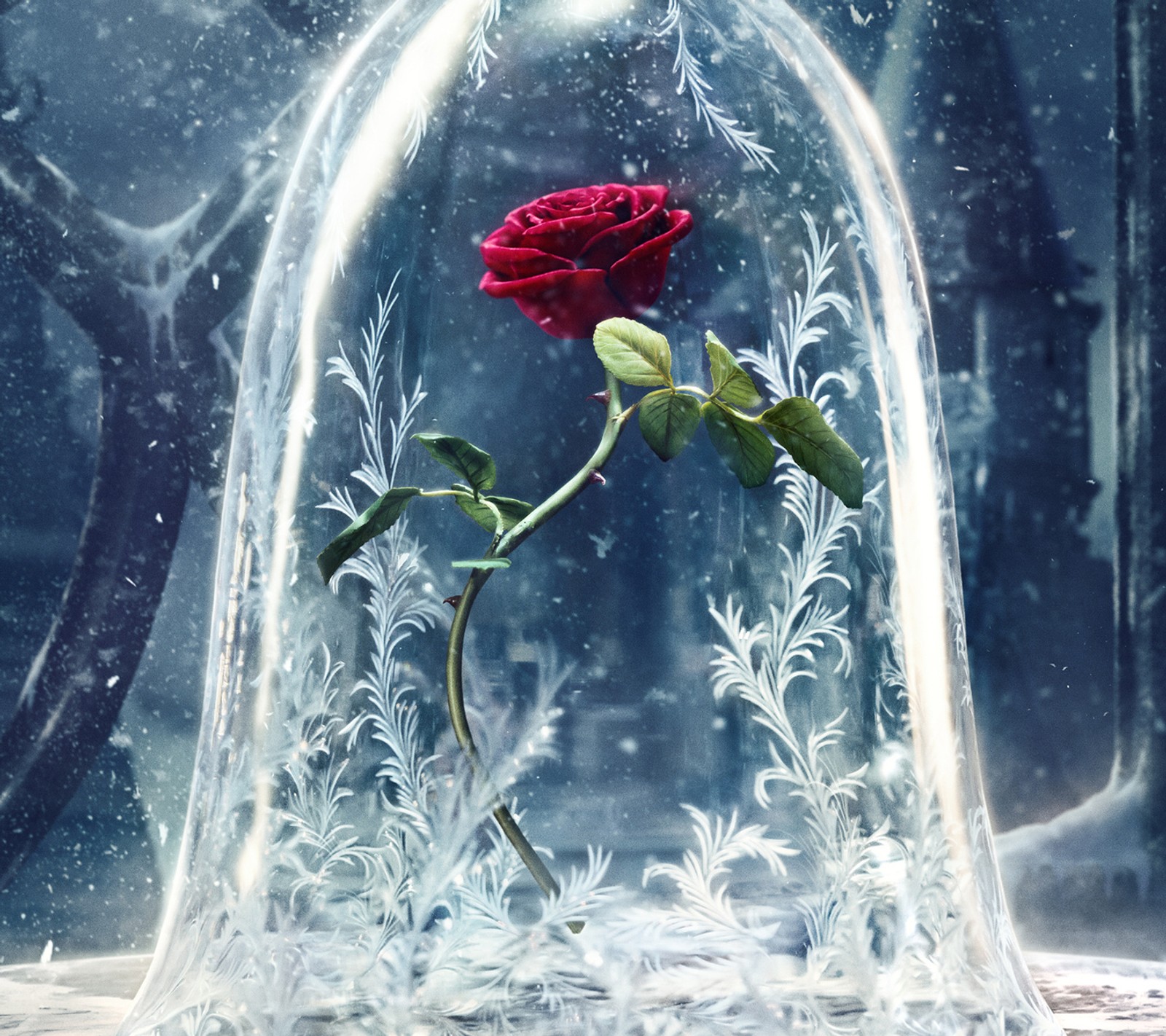 Une rose dans un dôme en verre sur fond de neige (para los enamorados, rosa de amor)