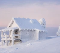 nieve, blanco, invierno