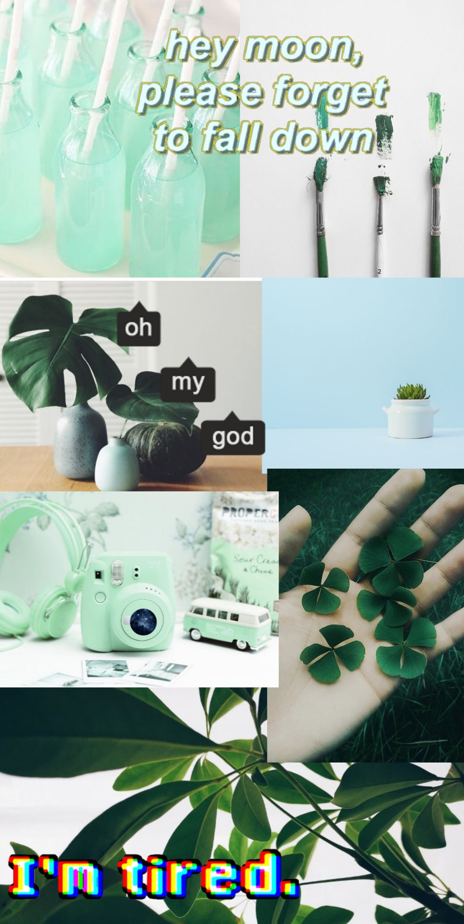 There are many different pictures of a person holding a plant (aesthetic, dark green, green, plants, pretty)